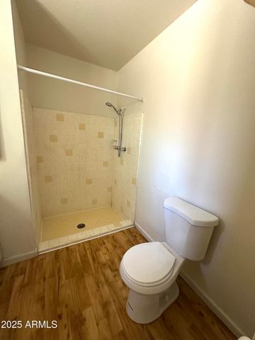 775 E Cactus Drive, Globe, AZ 85501