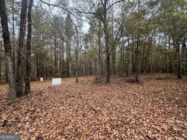 3422 Pat Mullis Road, Cadwell, GA 31009