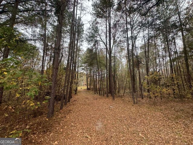 3422 Pat Mullis Road, Cadwell, GA 31009