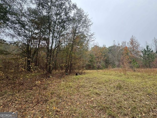 3422 Pat Mullis Road, Cadwell, GA 31009