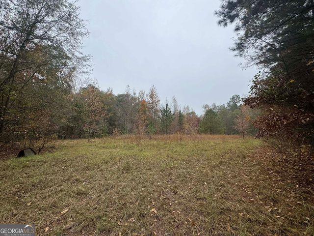 3422 Pat Mullis Road, Cadwell, GA 31009