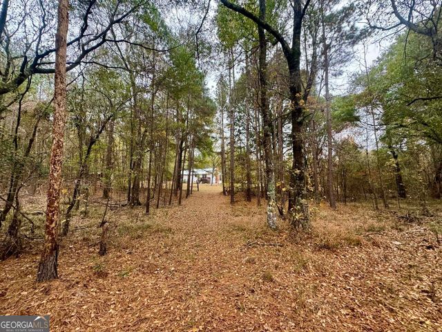 3422 Pat Mullis Road, Cadwell, GA 31009