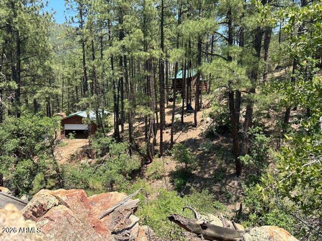 Image 18 of property listing at 7345 E CROWN KING Road, Crown King, AZ 86343