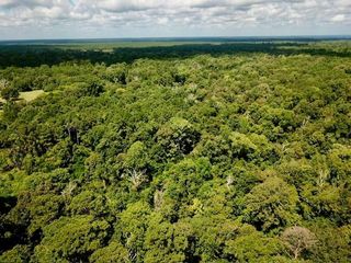11.826+/- Acs Cr 4190, Woodville, TX 75979