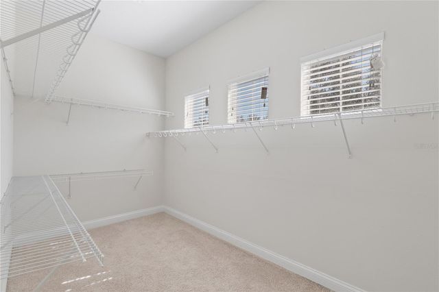 16637 ASHTON GREEN DRIVE, Lutz, FL 33558