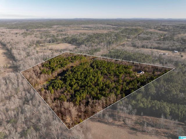 14052 COUNTY ROAD 51, Jemison, AL 35085