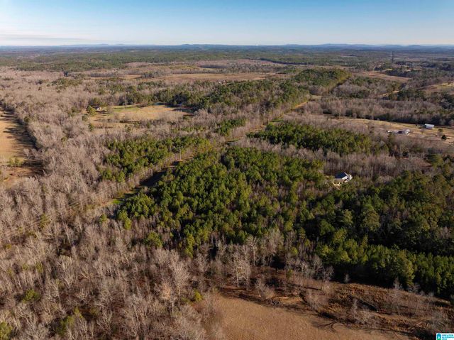 14052 COUNTY ROAD 51, Jemison, AL 35085