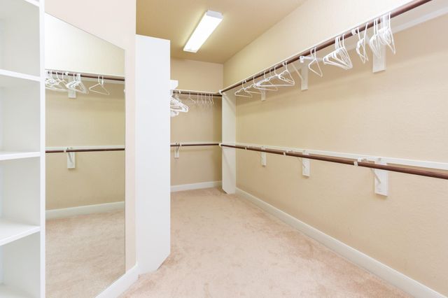 162 W Hullwood Court, Spring, TX 77389