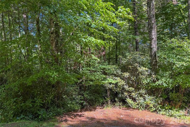 G24 Bailey Lane G24, Sapphire, NC 28774
