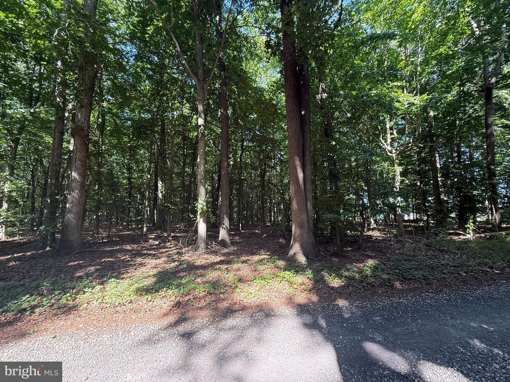 Image 1 of property listing at CHURCH LN, Cordova, MD 21625