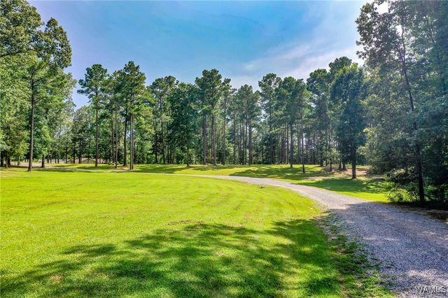 12155 Finnell Cutoff, Northport, AL 35475