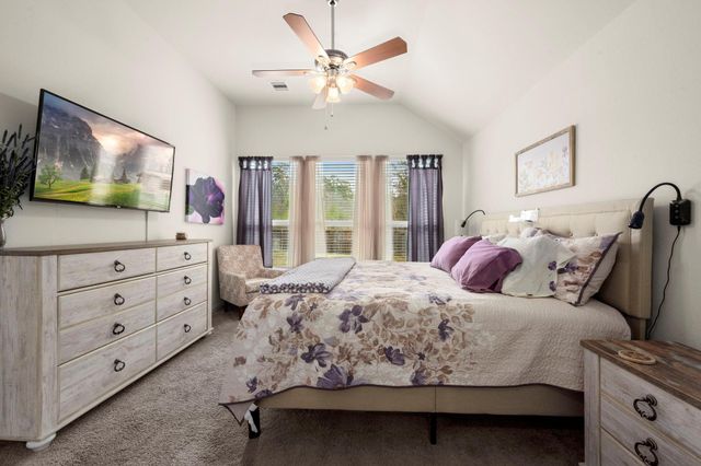 206 N Lynx Trail, Montgomery, TX 77316