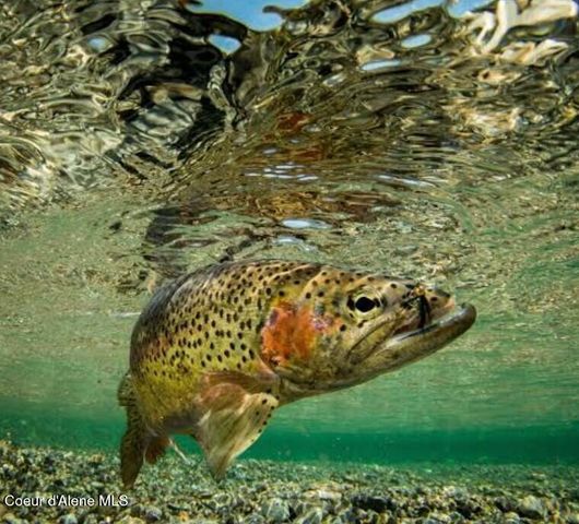 662 Roberson Way, Sandpoint, ID 83864