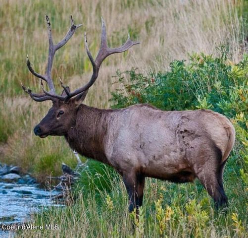 662 Roberson Way, Sandpoint, ID 83864