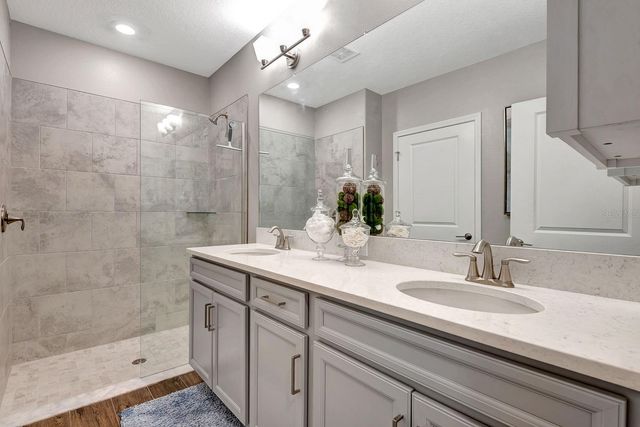 17003 CLEAR CORK DRIVE, Wimauma, FL 33598