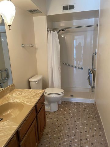 2 Cinnamon Creek Drive 2S, Palos Hills, IL 60465