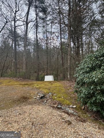 LOT 16R Leatherwood Mtn, Cherry Log, GA 30522