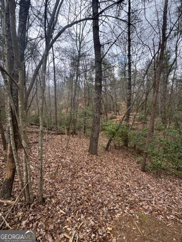 LOT 16R Leatherwood Mtn, Cherry Log, GA 30522