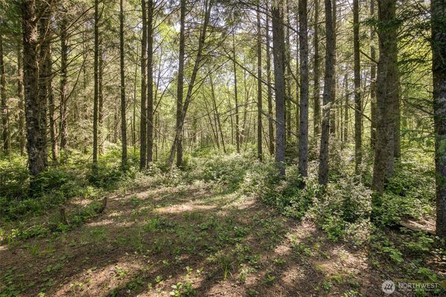 199 Ocean Boulevard, Ocean Shores, WA 98569