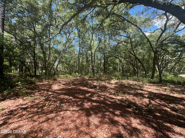 1425 Renbar Road, Deleon Springs, FL 32130