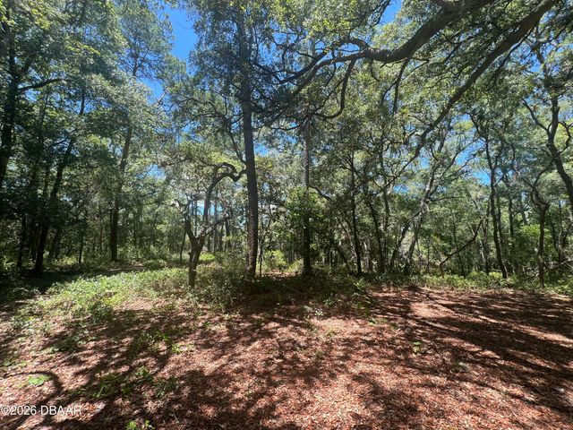 1425 Renbar Road, Deleon Springs, FL 32130