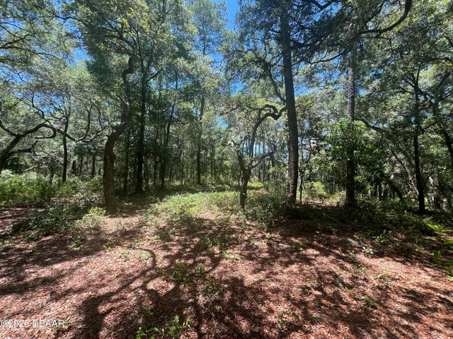 1425 Renbar Road, Deleon Springs, FL 32130