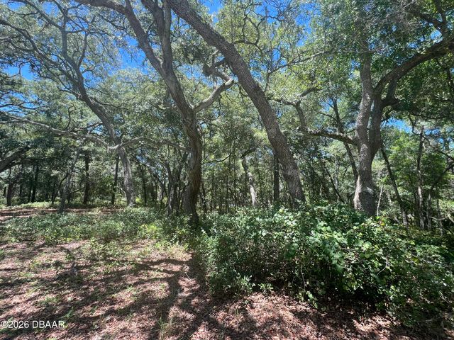 1425 Renbar Road, Deleon Springs, FL 32130