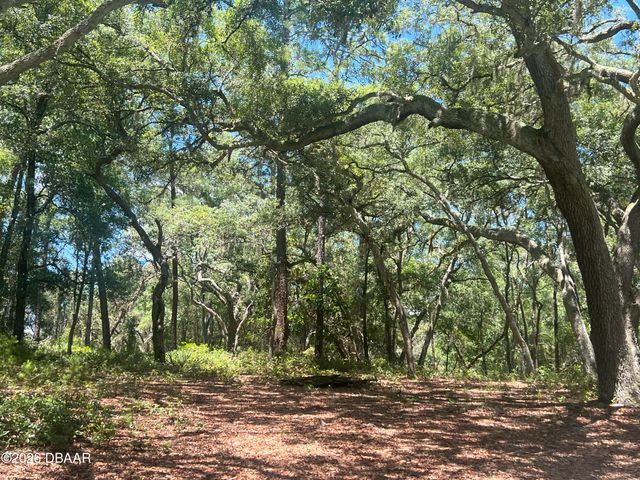 1425 Renbar Road, Deleon Springs, FL 32130