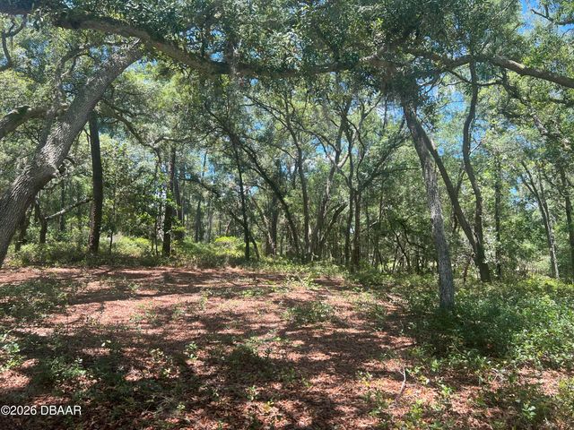 1425 Renbar Road, Deleon Springs, FL 32130