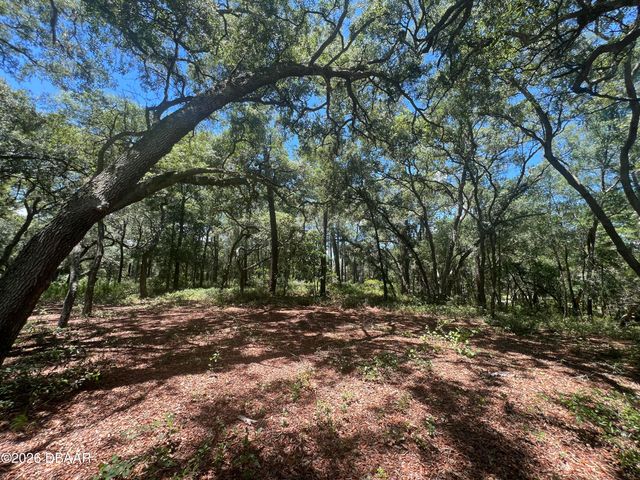 1425 Renbar Road, Deleon Springs, FL 32130