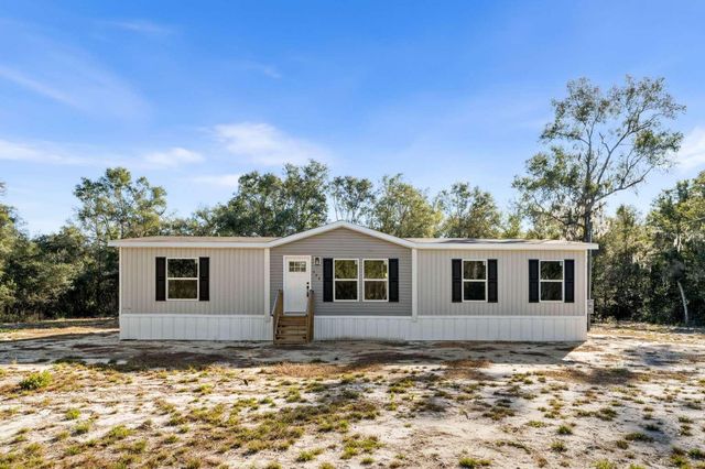 528 NE 389 AVENUE, Old Town, FL 32680