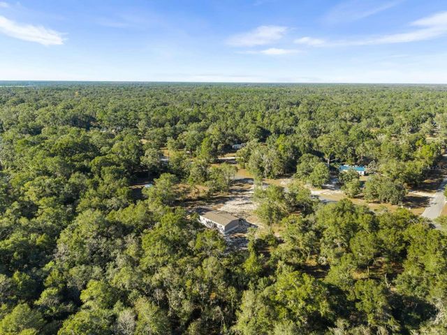 528 NE 389 AVENUE, Old Town, FL 32680