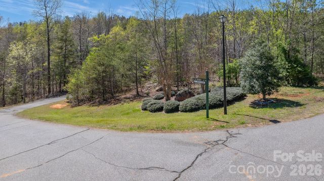 TBD Jobes Trail 29, Mill Spring, NC 28756