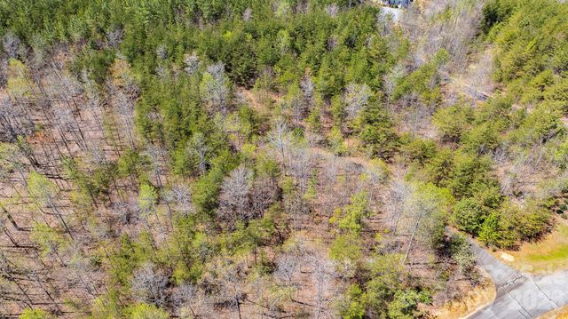 TBD Jobes Trail 29, Mill Spring, NC 28756