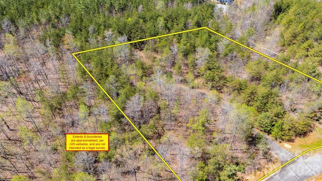 TBD Jobes Trail 29, Mill Spring, NC 28756