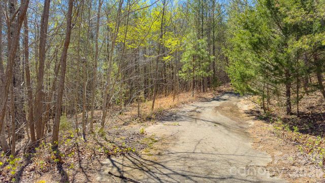 TBD Jobes Trail 29, Mill Spring, NC 28756