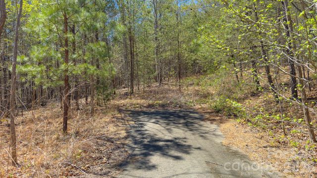 TBD Jobes Trail 29, Mill Spring, NC 28756