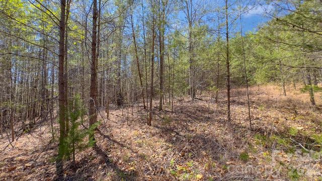 TBD Jobes Trail 29, Mill Spring, NC 28756
