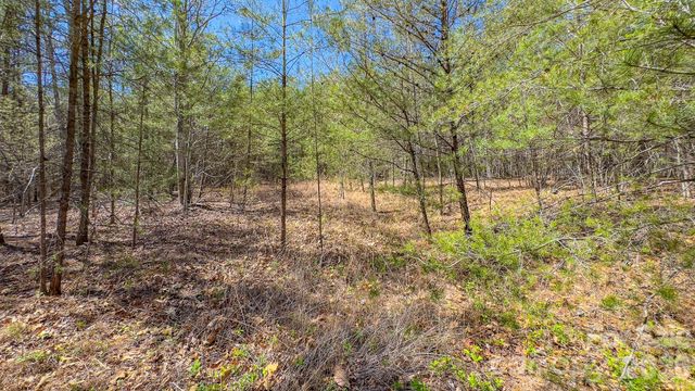TBD Jobes Trail 29, Mill Spring, NC 28756