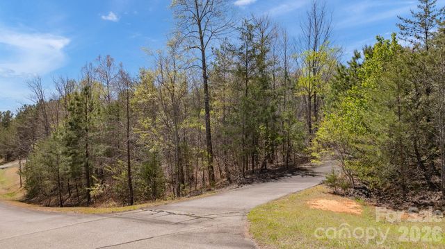 TBD Jobes Trail 29, Mill Spring, NC 28756
