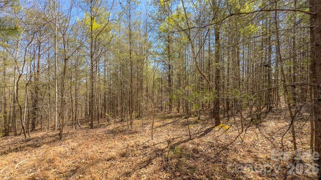 TBD Jobes Trail 29, Mill Spring, NC 28756
