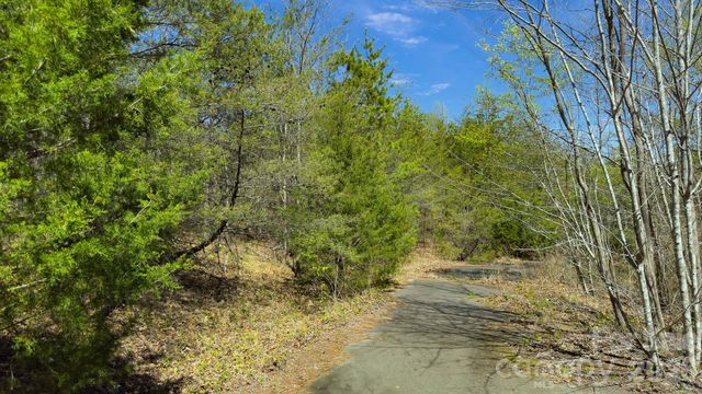TBD Jobes Trail 29, Mill Spring, NC 28756