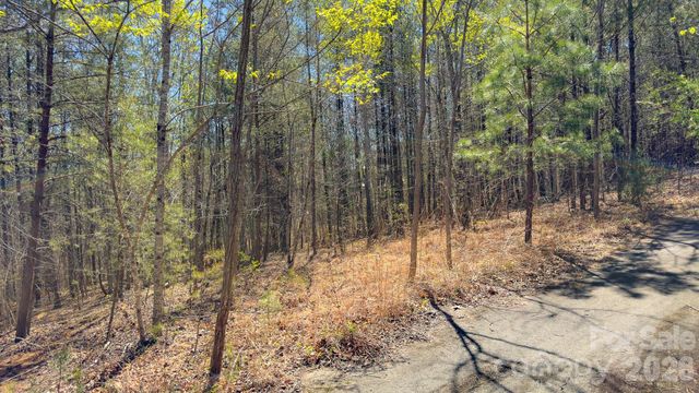 TBD Jobes Trail 29, Mill Spring, NC 28756