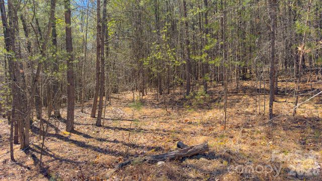 TBD Jobes Trail 29, Mill Spring, NC 28756