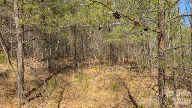 TBD Jobes Trail 29, Mill Spring, NC 28756