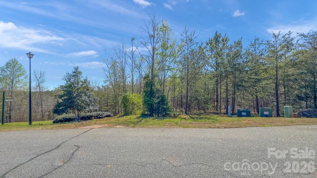 TBD Jobes Trail 29, Mill Spring, NC 28756