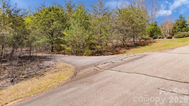 TBD Jobes Trail 29, Mill Spring, NC 28756