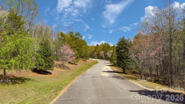 TBD Jobes Trail 29, Mill Spring, NC 28756