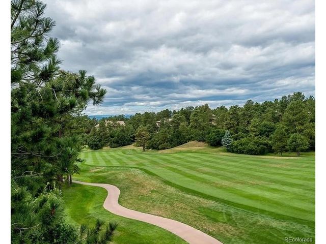 655 Ruby Trust Dr, Castle Rock, CO 80108