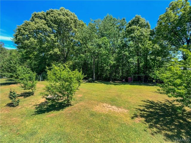 195 Pike, Woodstock, AL 35188